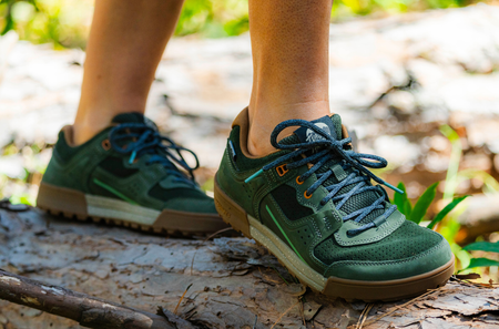 Moss