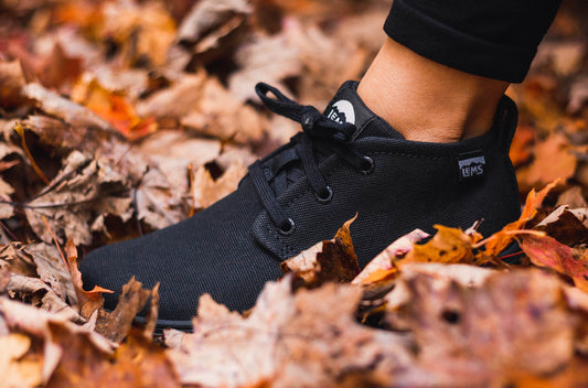 Blackout