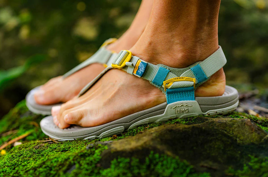 Miesten Switchback Sandal Knit - Ivy