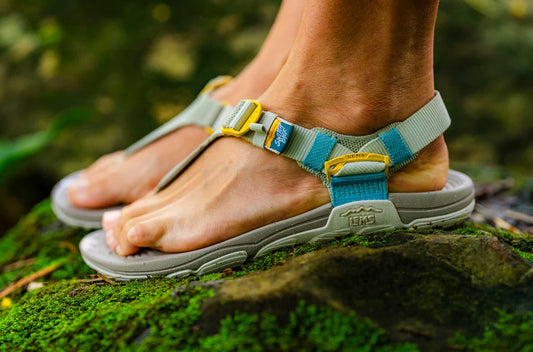Naisten Switchback Sandal Knit - Ivy